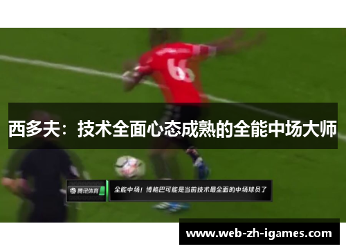 西多夫:技术全面心态成熟的全能中场大师 西多夫:技术全面心态成熟的全能中场大师