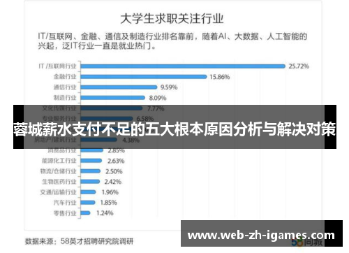 蓉城薪水支付不足的五大根本原因分析与解决对策 蓉城薪水支付不足的五大根本原因分析与解决对策