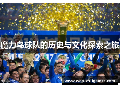 魔力鸟球队的历史与文化探索之旅