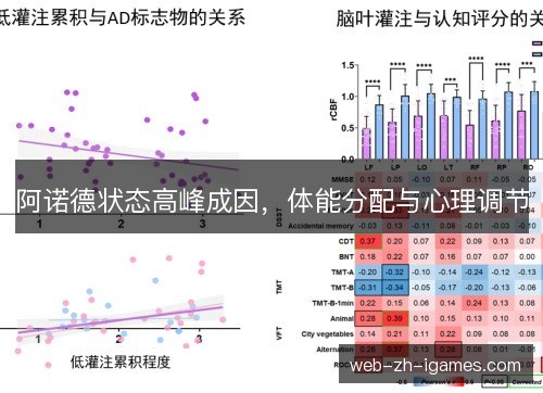 阿诺德状态高峰成因，体能分配与心理调节